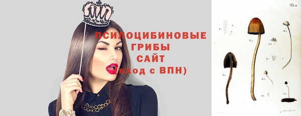 эйфоретик Арсеньев