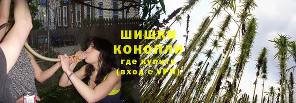 спайс Алзамай