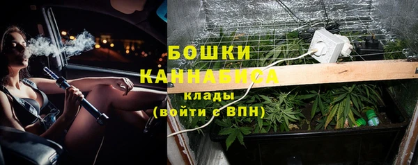 спайс Алзамай