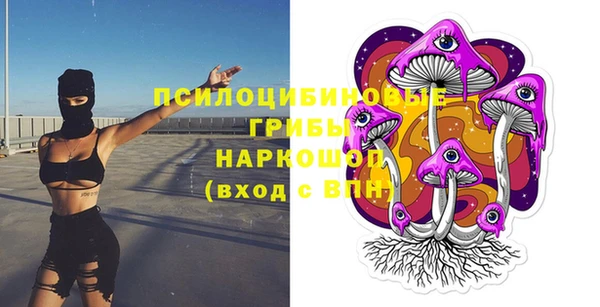 спайс Алзамай