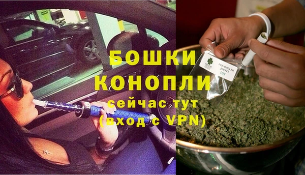 сатива Покров