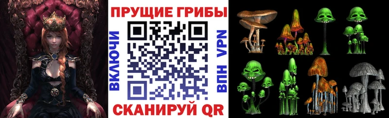 закладка Глазов Галлюциногенные грибы MAGIC MUSHROOMS