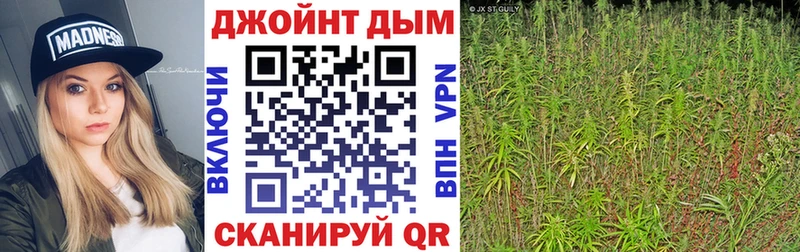 darknet формула Глазов МАРИХУАНА Ganja